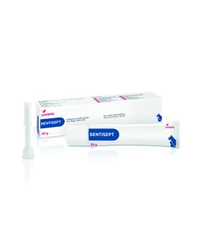DENTISEPT PASTA DENT. 20 G