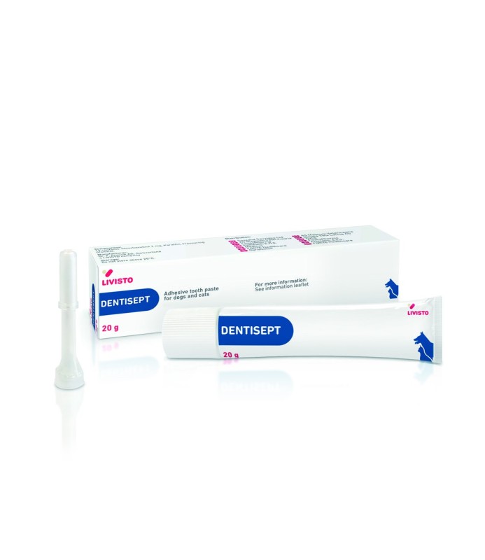 DENTISEPT PASTA DENT. 20 G