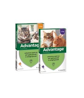 ADVANTAGE