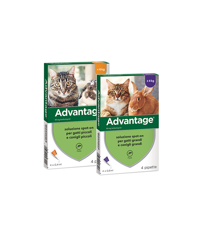 ADVANTAGE