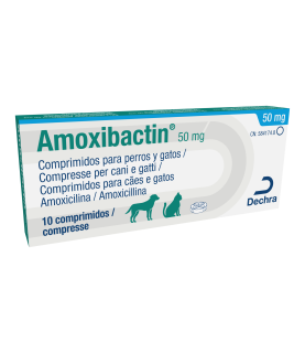 AMOXIBACTIN
