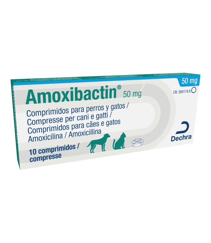 AMOXIBACTIN