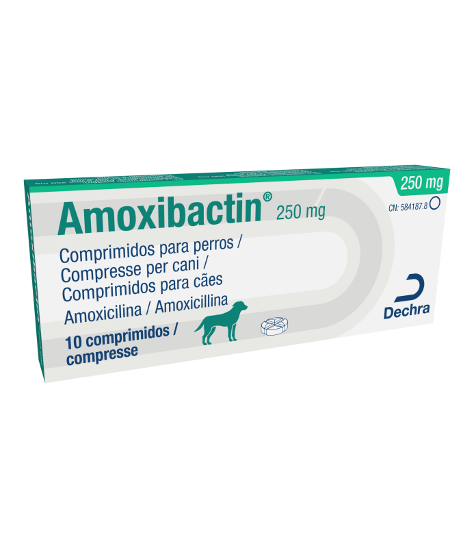 AMOXIBACTIN CPR