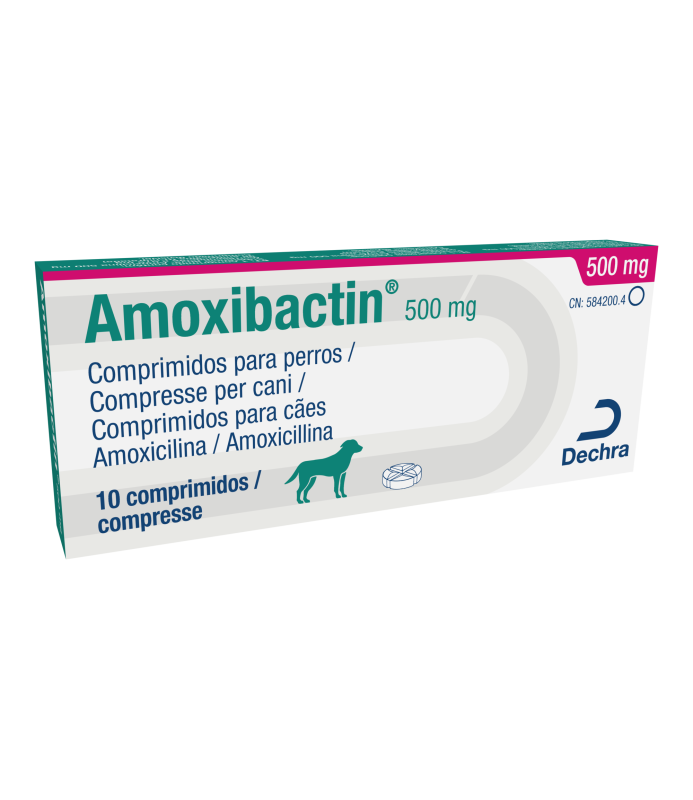 AMOXIBACTIN CPR