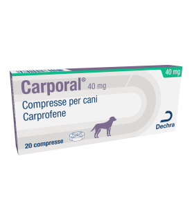 CARPORAL