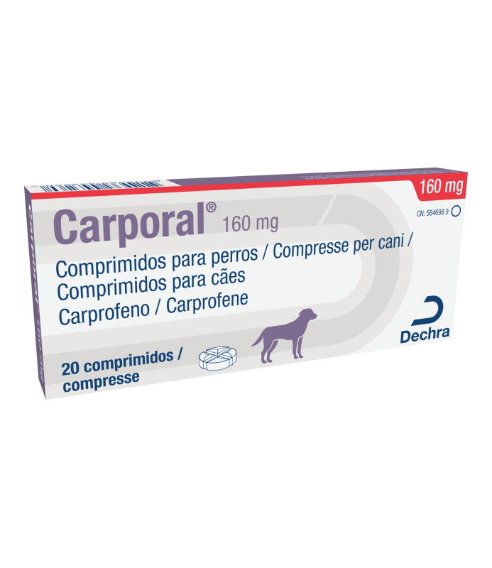 CARPORAL CPR