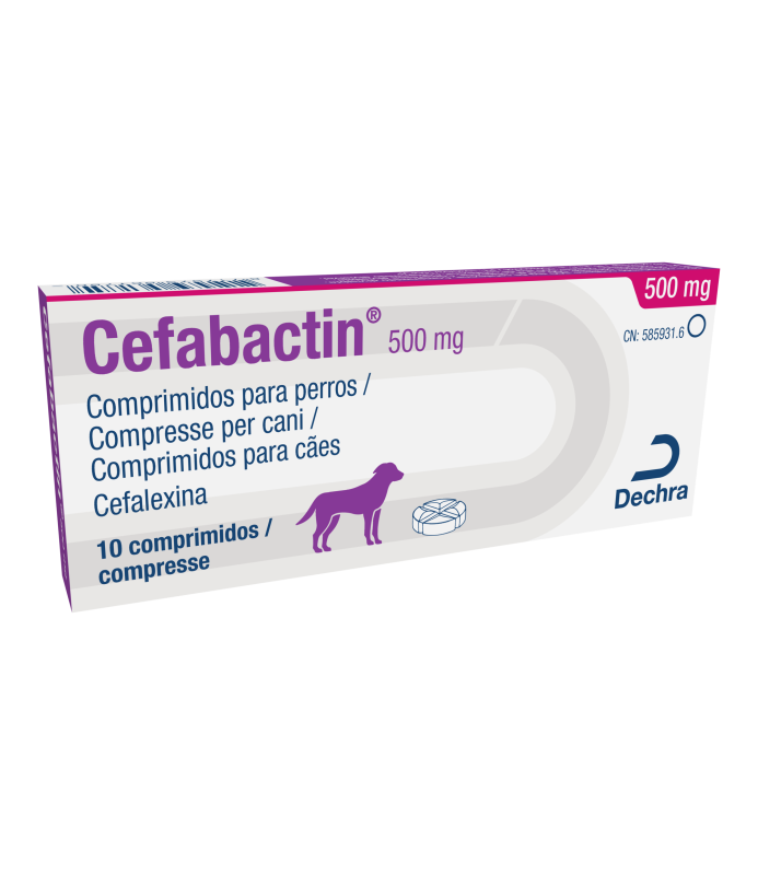 CEFABACTIN CPR