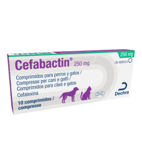 CEFABACTIN 2