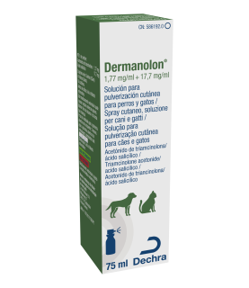 DERMANOLON SPRAY 75 ML