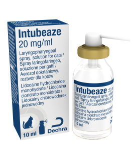 INTUBEAZE 20 MG/ML SPRAY 10 ML