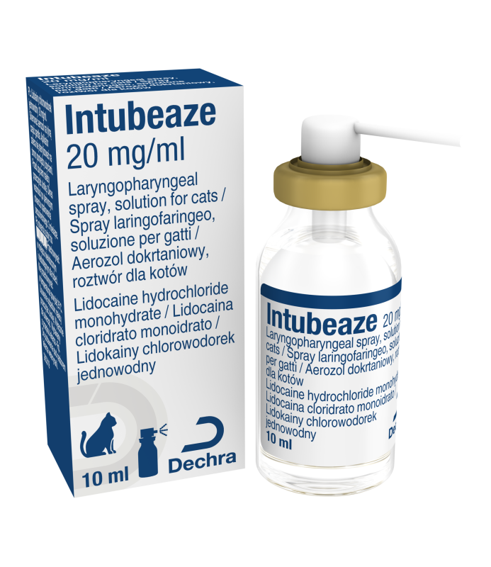 INTUBEAZE 20 MG/ML SPRAY 10 ML