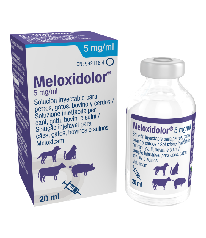 MELOXIDOLOR 5MG/ML 20 ML