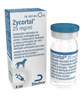 ZYCORTAL 25MG/ML INIETT. - FL 4 ML