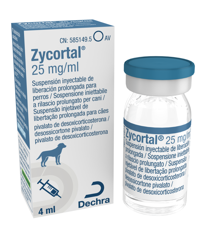 ZYCORTAL 25MG/ML INIETT. - FL 4 ML