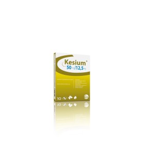 KESIUM 2