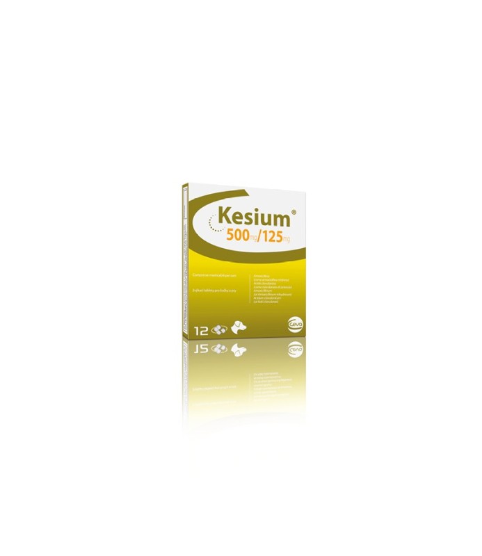 KESIUM CPR