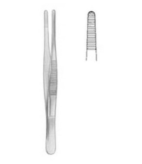 PINZA ANATOMICA BEAR CM.13