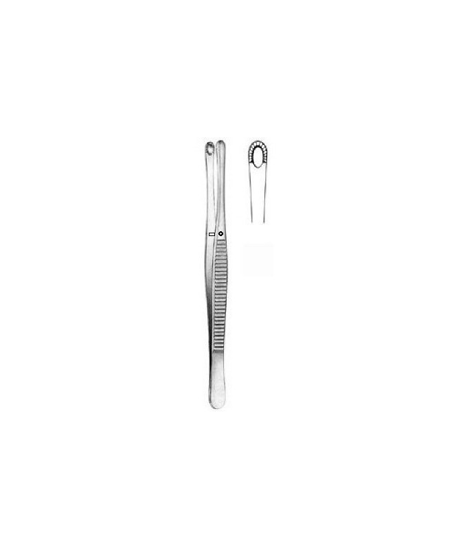 PINZA RUSSIAN BEAR INOX CM. 14,5