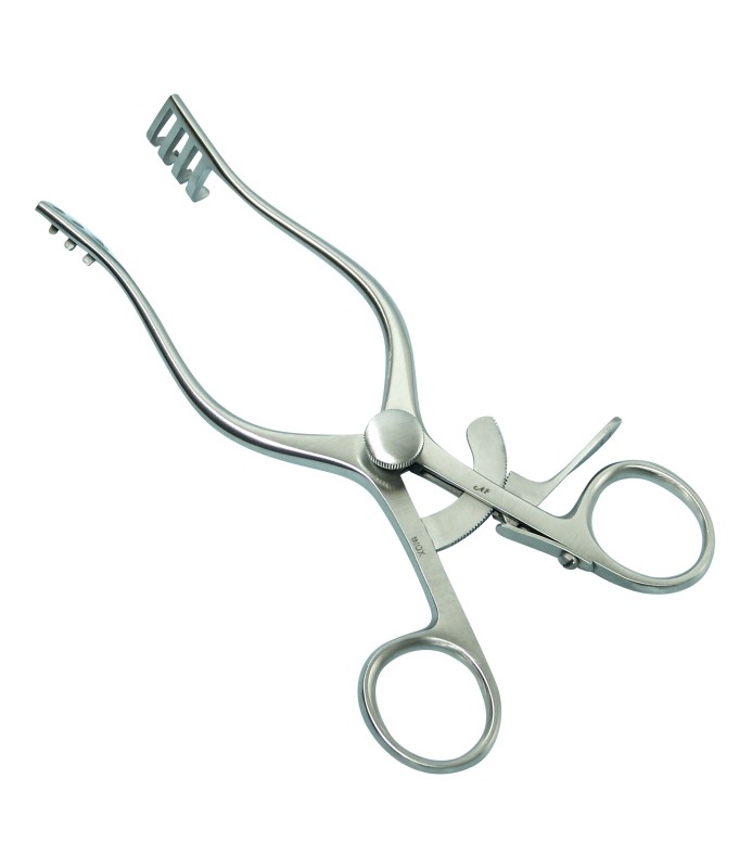 DIVAR.WEITLANER BEAR INOX 3X4 CM.13