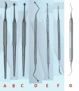 RASCHIATARTARO DENTI BEAR ACUTO