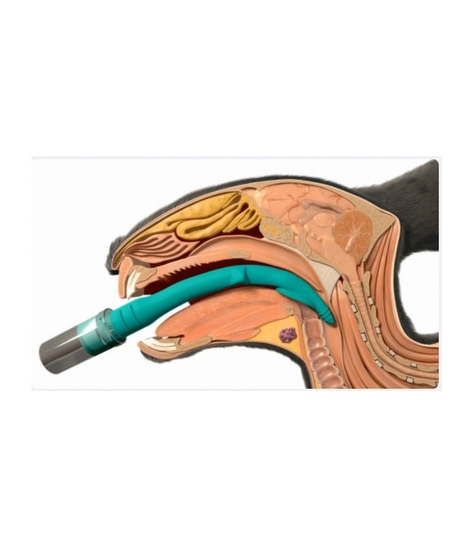 V-GEL ADVANCED dispositivo sopraglottideo monouso per vie respiratorie/aeree