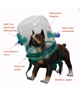 Caschi per terapia CPAP 2