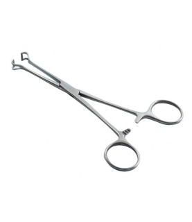 PINZA BABCOCK AF INTESTINO CM.17