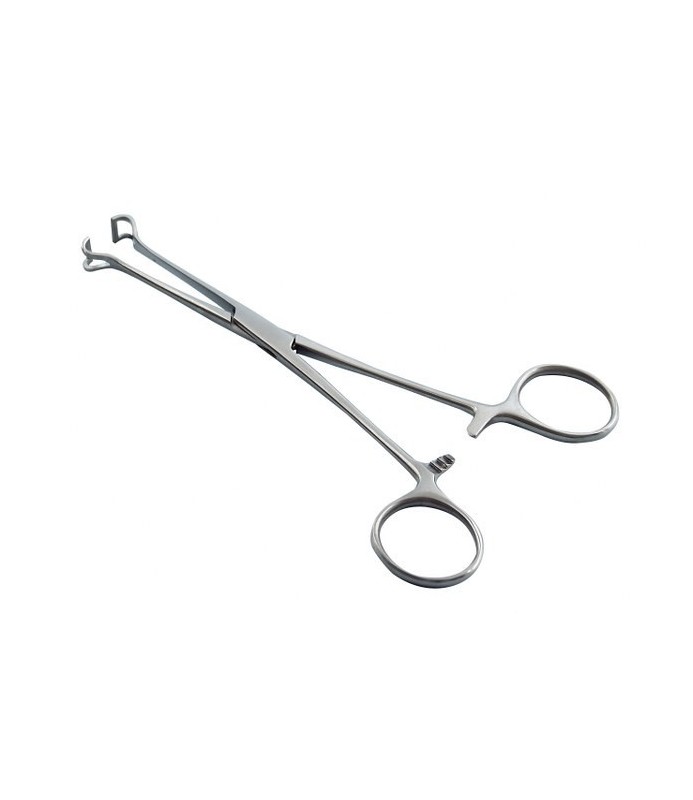 PINZA BABCOCK AF INTESTINO CM.17