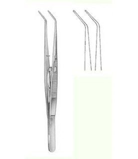 PINZA COLLEGE AF CM.15 CON FERMO