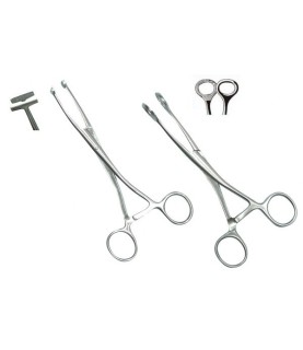 PINZA TIRALINGUA COLLIN A T AF CM.16