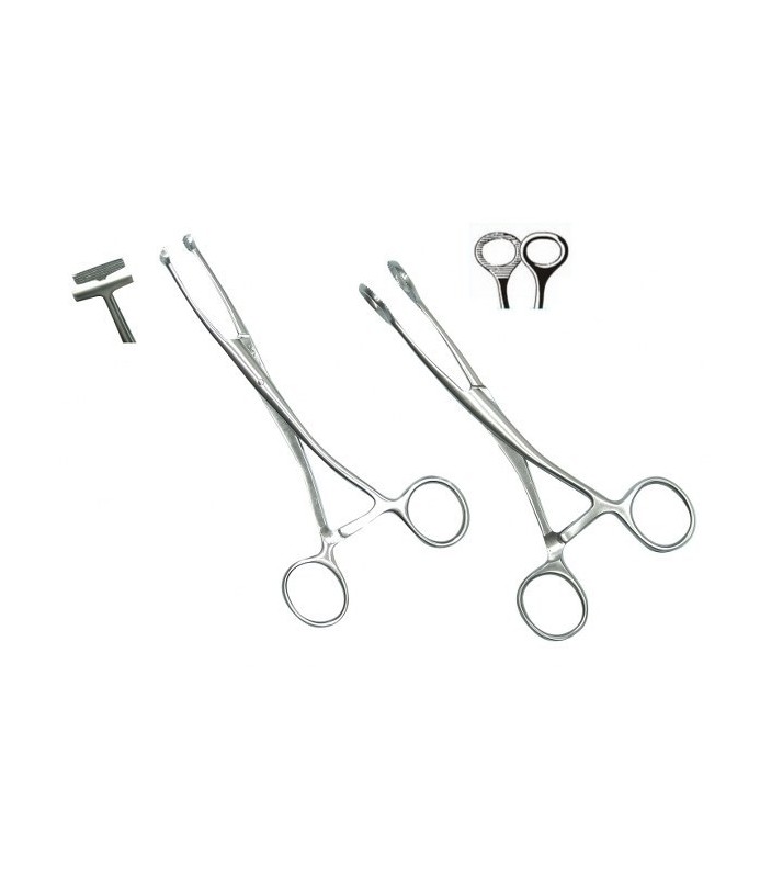 PINZA TIRALINGUA COLLIN A T AF CM.16