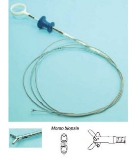PINZA ENDO.MM.2,0 X2500  MORSO BIOPSIA