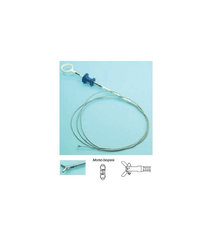 PINZA ENDO.MM.2,0 X2500  MORSO BIOPSIA