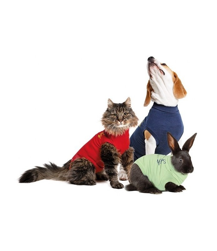 BODY COTONE CANI 4XS