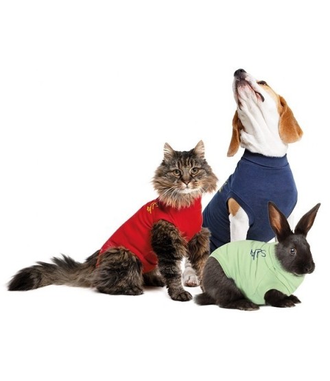 BODY COTONE CANI 4XS