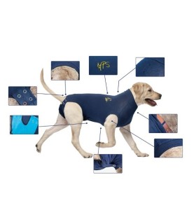 BODY COTONE CANI 4XS 2