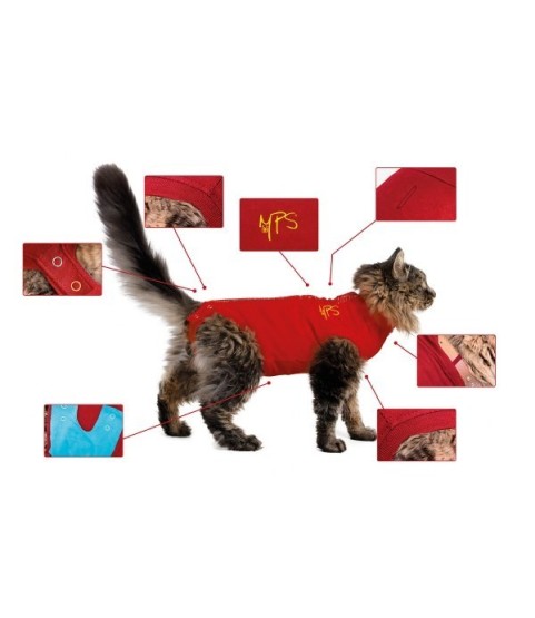 BODY COTONE CANI 4XS