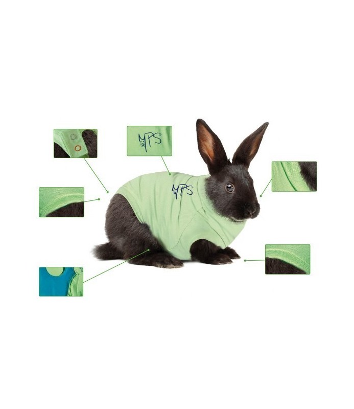 BODY COTONE CANI 4XS