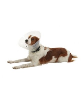 COLLARE BUSTER CLIC COLLARE CM.10