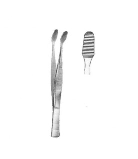 Pinza vetrini