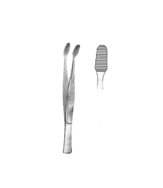 Pinza vetrini