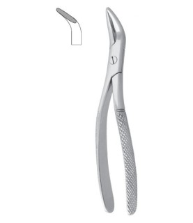 TENAGLIA RADICI-TARTARO WITZEL MD