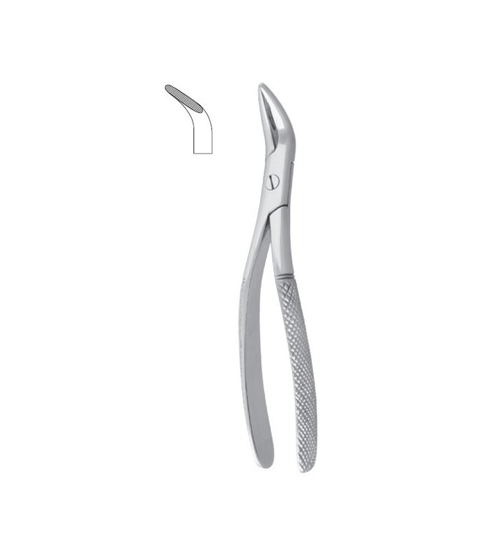 TENAGLIA RADICI-TARTARO WITZEL MD