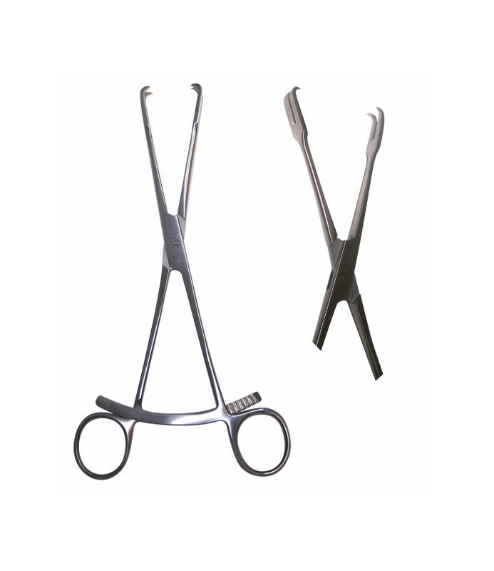 Pinza Condili
