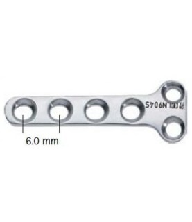 PLACCA AES 1,6  X42 MM. 6+2F T LN906