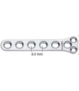 PLACCA AES 2   X52 MM. 6+2F T LN916