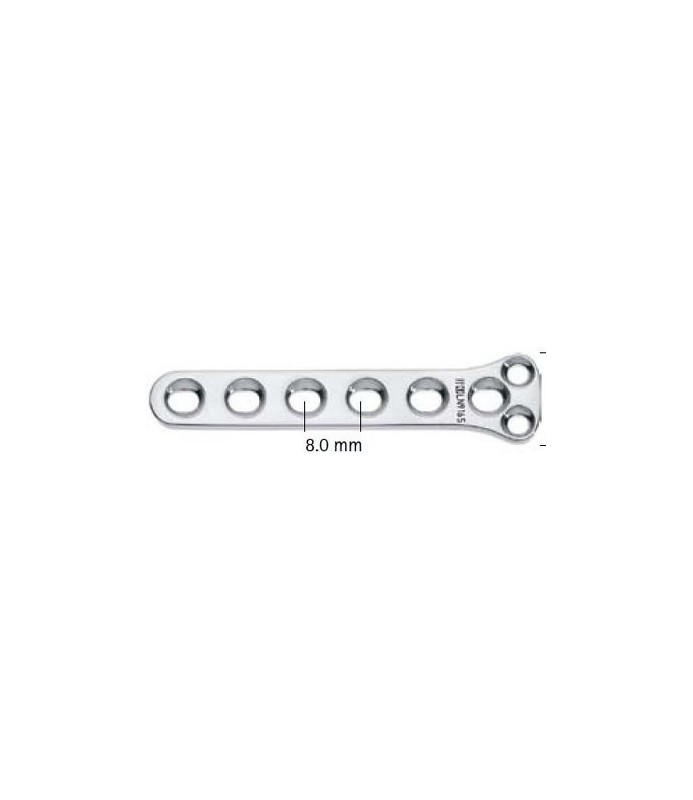 PLACCA AES 2   X52 MM. 6+2F T LN916