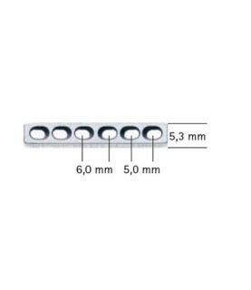 PLACCA AES 2  X52 MM. 10F VN160