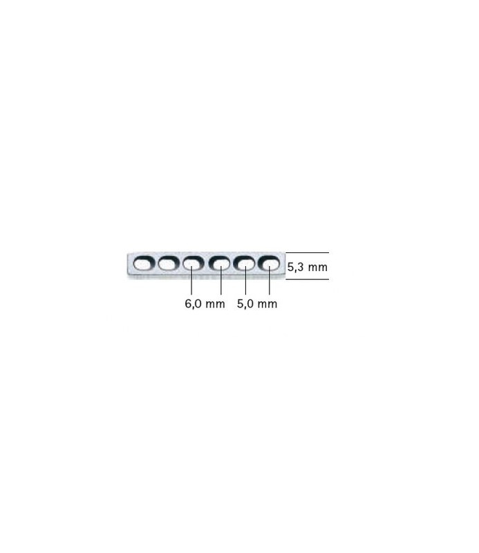 PLACCA AES 2  X52 MM. 10F VN160