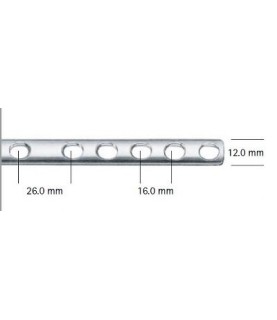 PLACCA AES 4,5 X167MM.10F LM410